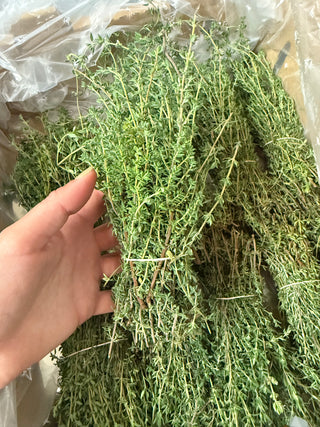 Organic English Thyme from Apricot Lane Farms 1 bunch Certified Biodynamic