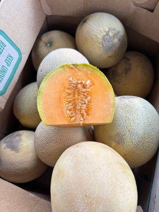 Ambrosia Melon from Munak Ranch - 1 unit