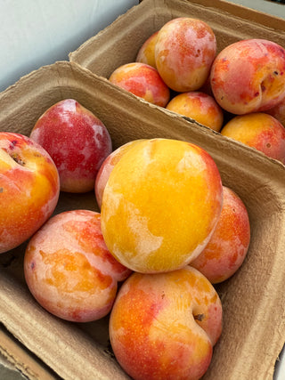 Organic Sunset pluot from Murray Family Farms 1 pound