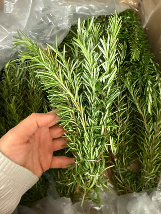 Organic Rosemary from Apricot Lane Farms 1 bunch