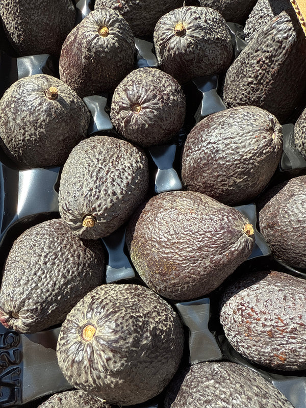 Organic Hass Avocado from JJ Lonedaughter - 1 unit