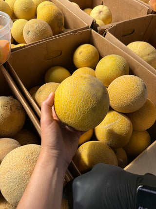 Rocky Sweet Melon from Munak Ranch 1 unit