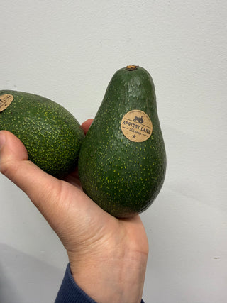 Organic Fuerte Avocados from Apricot Lane Farms 2lbs