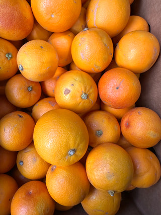 Tarocco Blood Oranges from Apricot Lane Farms - 2lbs certified organic and biodynamic