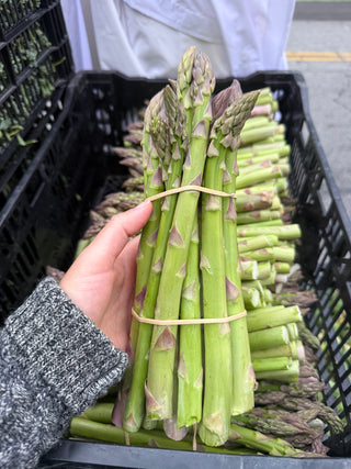 Asparagus from Mendoza Farms - 1 bunch