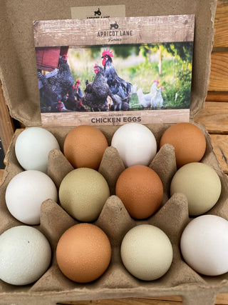 Chicken Eggs from Apricot Lane Farms - Certified Organic Certified Biodynamic - Dozen Eggs
