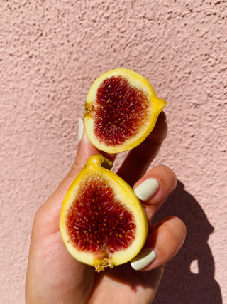 Organic Figs Experimental from Murray Family Farms - 1 half pint