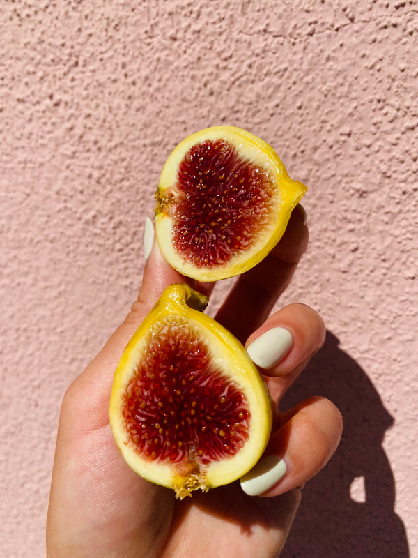 Organic Figs Experimental from Murray Family Farms - 1 half pint