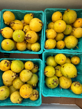 Organic Guava from Murray Family Farms half pint Strawberry Guava Lemon Guava