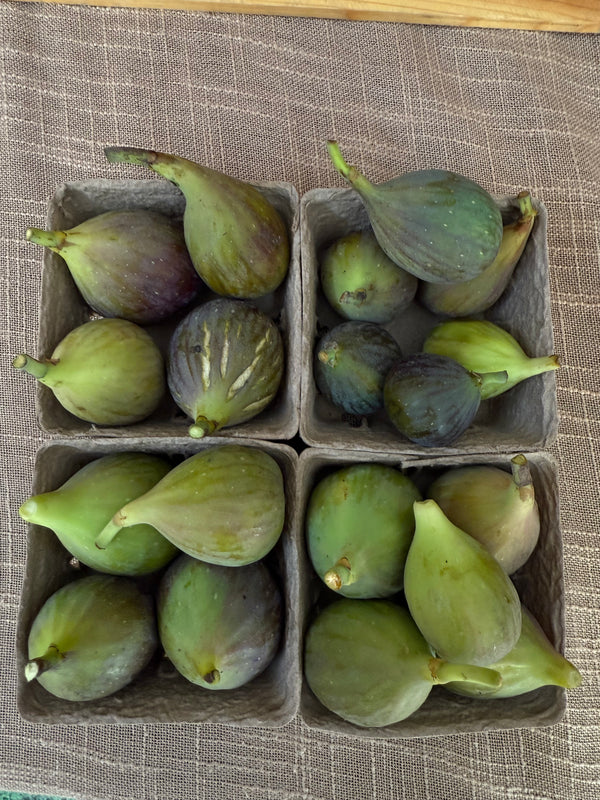 Organic Figs from Apricot Lane Farms - Certified Biodynamic and Organic - half pint
