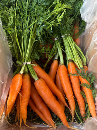 Organic Nantes Carrots from Apricot Lane Farms 1 bunch biodynamic