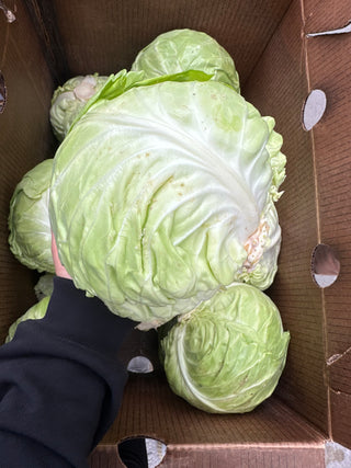 Organic Green Cabbage from Givens Farms 1 unit