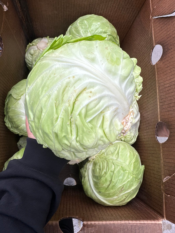 Organic Green Cabbage from Frecker Farms 1 unit