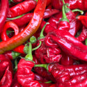 Jimmy Nardelo Peppers from HER Produce- 2lbs