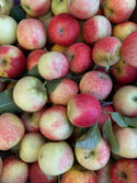 Gala Apples from See Canyon 2lbs