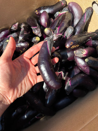 Chinese Eggplant from HER Produce - 2lbs
