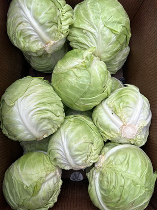 Organic Green Cabbage from Frecker Farms 1 unit