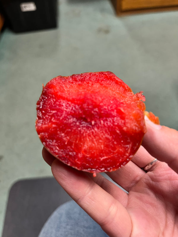 Organic Fire Dapple Pluot from Burkart Organics 2lbs