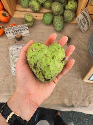 Organic Cherimoya from Apricot Lane Farms 2lbs