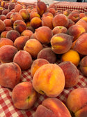 June Lady Yellow Peach from Tenerelli Orchards - 2lbs