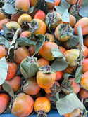 Hachiya Persimmon 1lb Country Rhodes Farm