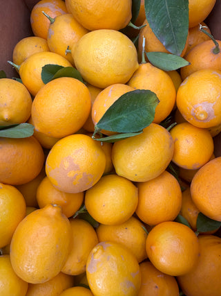 Organic Meyer Lemons from Murray Family Farms - 2lbs - Certified organic