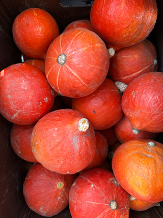 Organic Red Kuri Hard Squash from Apricot Lane Farms - 1 unit