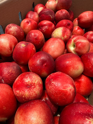 Organic White Nectarines from Murray Family Farms- 2lbs