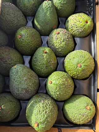 Organic Whitsell Avocado from JJ Lonedaughter - 1 unit