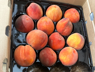 Organic O’Henry Freestone Yellow Peach from Burkart Organics 2lbs