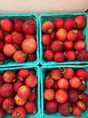 Organic Guava from Murray Family Farms half pint Strawberry Guava Lemon Guava