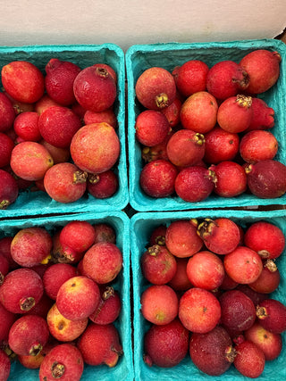 Organic Guava from Murray Family Farms half pint Strawberry Guava Lemon Guava