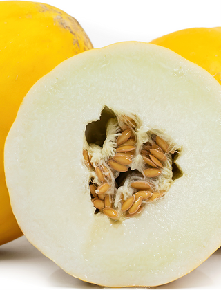 Brilliant Melon from Weiser Family Farms 1 unit