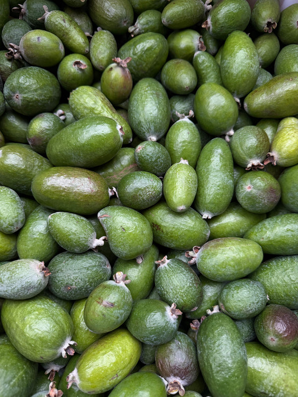 Feijoa or Pineapple Guava from Rincon Tropics 1lb