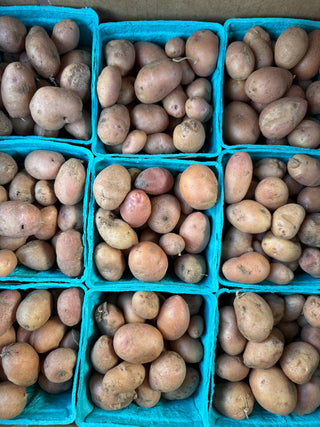 Organic French Fingerling Potatoes from Apricot Lane Farms 1 pint