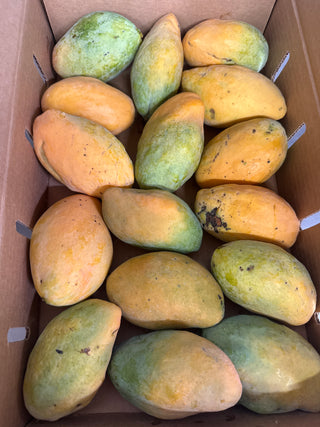 Coconut Mango from Wong Farms 1 unit