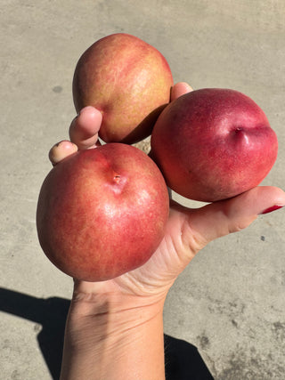 Organic Spice Zee Nectaplums 2lbs from Burkart Organics