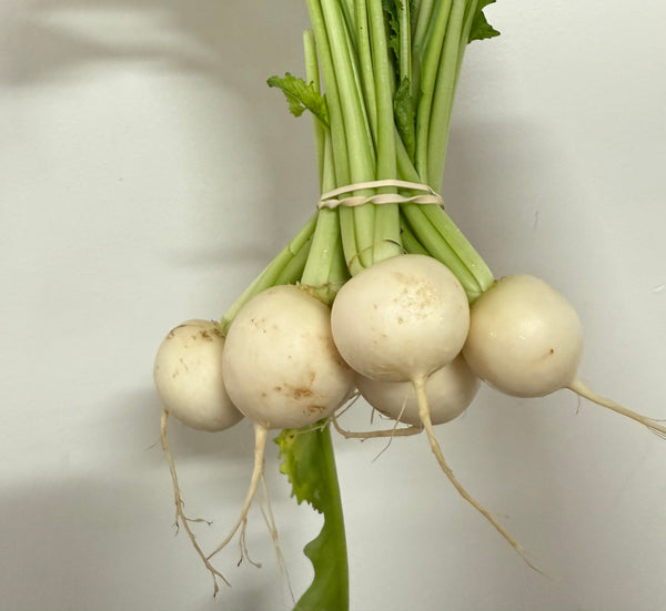 Organic Japanese Turnips from Apricot Lane Farms 1 bunch