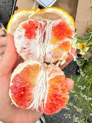 Organic Valentine Pomelo from Garcia Farms - 1 unit