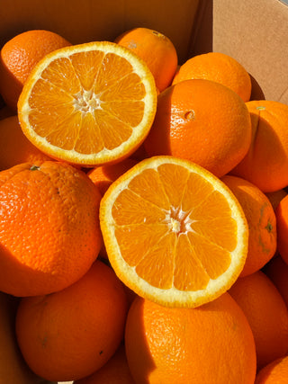 Organic Navel Oranges from Burkart Organic 2lbs