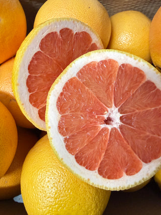 Organic Red Ruby Grapefruit from Buck Brands Orchard Family Farms - 1 unit - certified organic