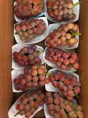 Magical Grapes - Shine Muscat Shinano Smile and Black Beat