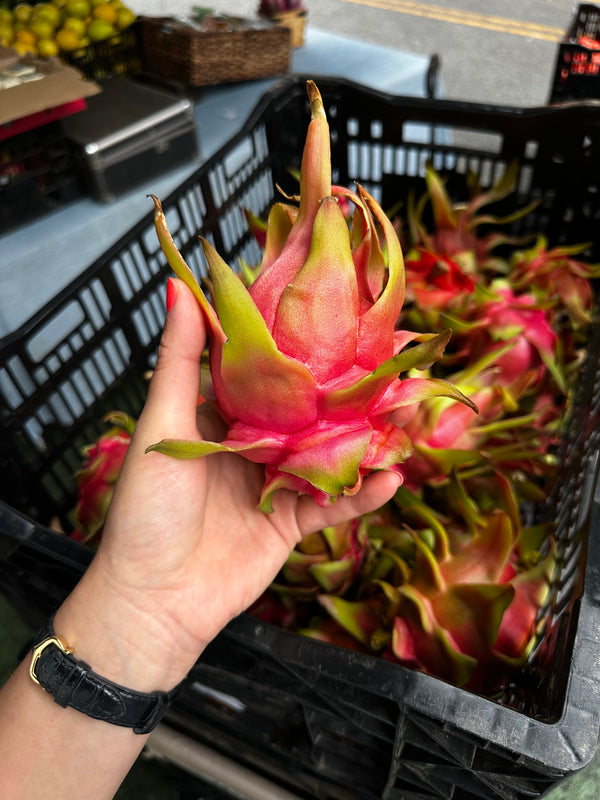 Pitaya or Dragon Fruit from Rincon Tropics 2lbs