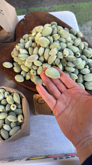 Green Almonds from Fat Uncle Farms half pound