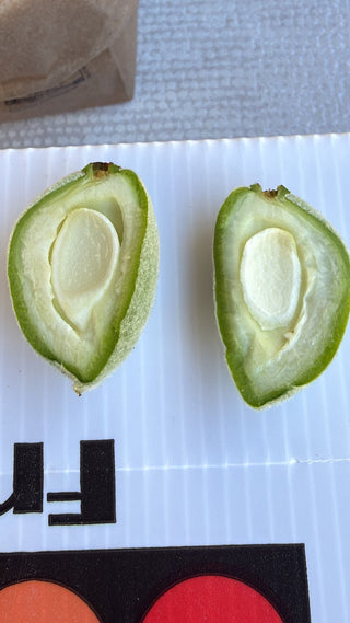 Green Almonds from Fat Uncle Farms half pound