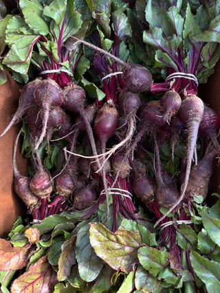 Organic Detroit Dark Red 1 bunch
