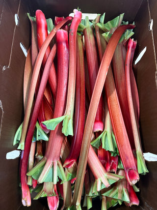 Organic Rhubarb from Oregon - 2lbs