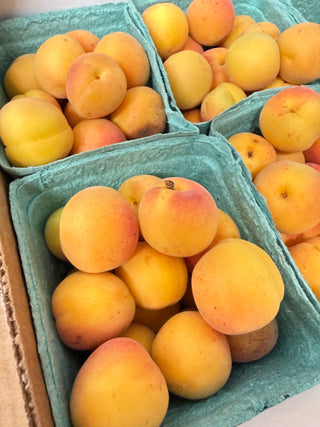 Organic Blenheim Apricots from Murray Family Farms 1 pint