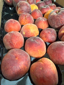 Festa Gem Peaches from Juicy Fruit Farm 2lbs Certified organic