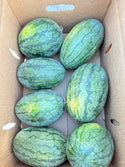 Dark Belle Watermelon from Weiser Family Farms - sold per unit